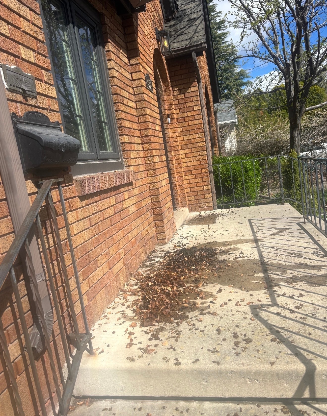 JKV Contractors – Deck Cleaning